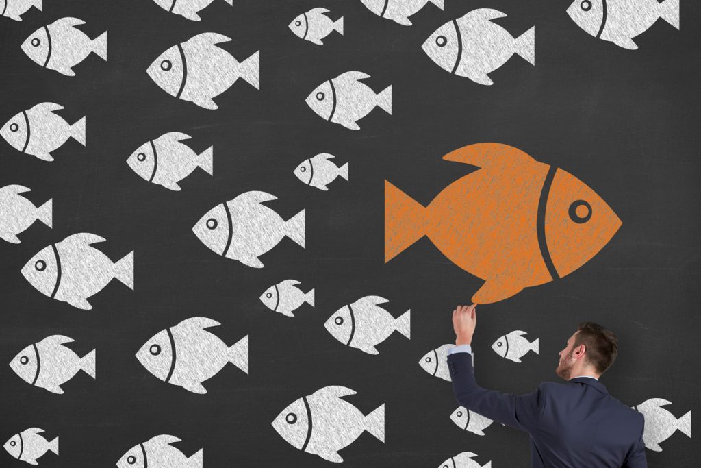 fisch-web